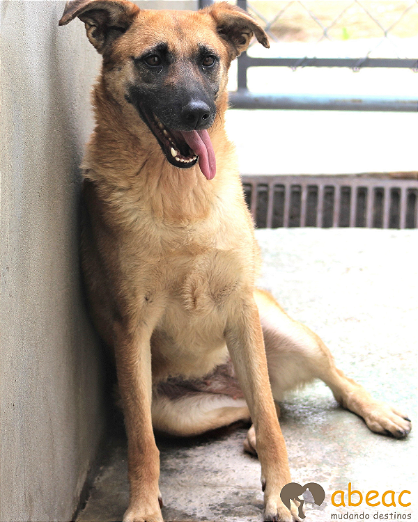 Lolita-Sol - 05 anos