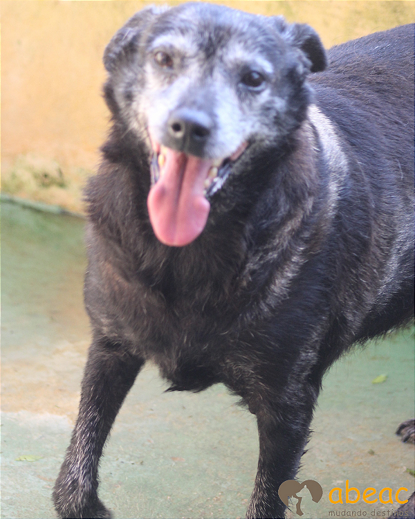 Lupita-300 Anjos - 14 anos