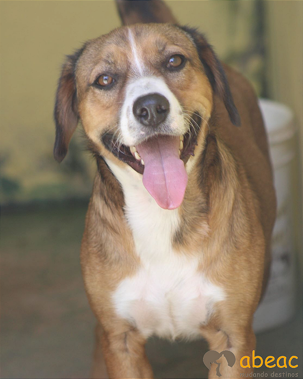 Lupy-Parelheiros - 07 anos