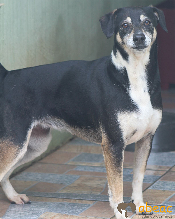 Margarida-Inês - 12 anos