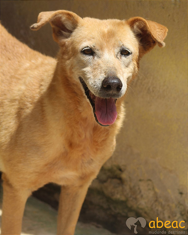 Marieta-Madá - 14 anos