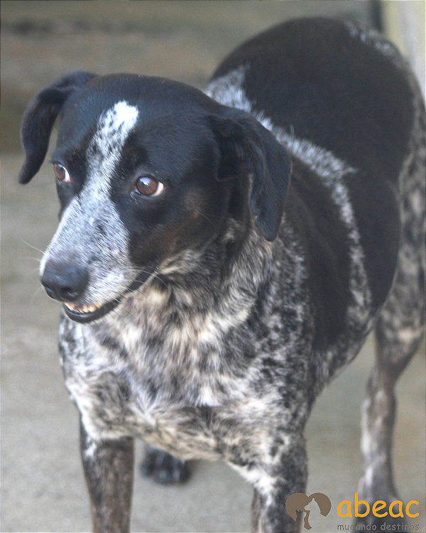 Mary-300 Anjos - 09 anos