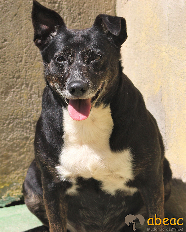 Pandora-Dna Beth - 14 anos