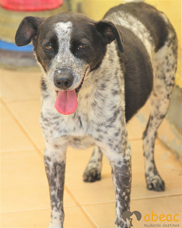 Pandora-Eve -08 anos