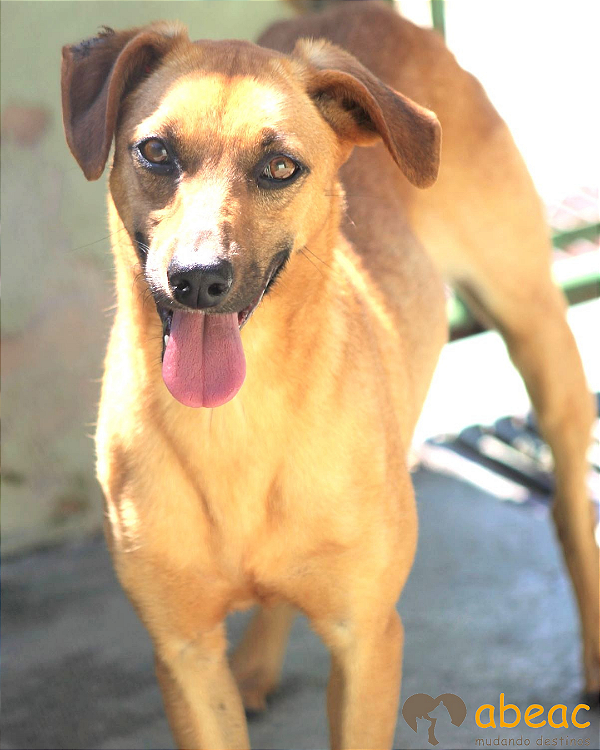 Pitucha-Mel - 09 anos