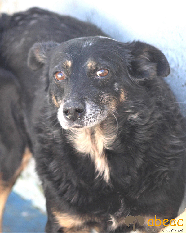 Vitória-Aurora - 13 anos