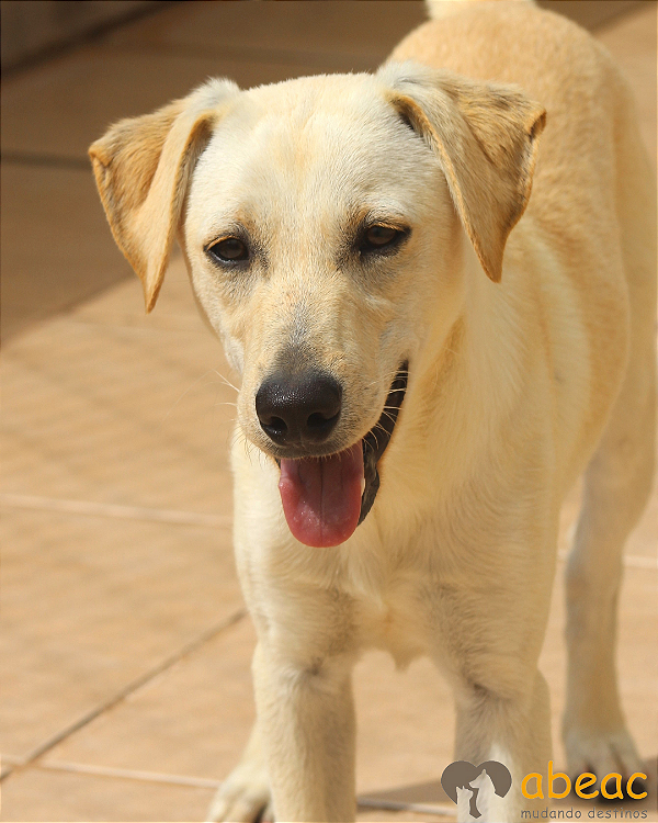 Zeus-Caucaia - 02 anos