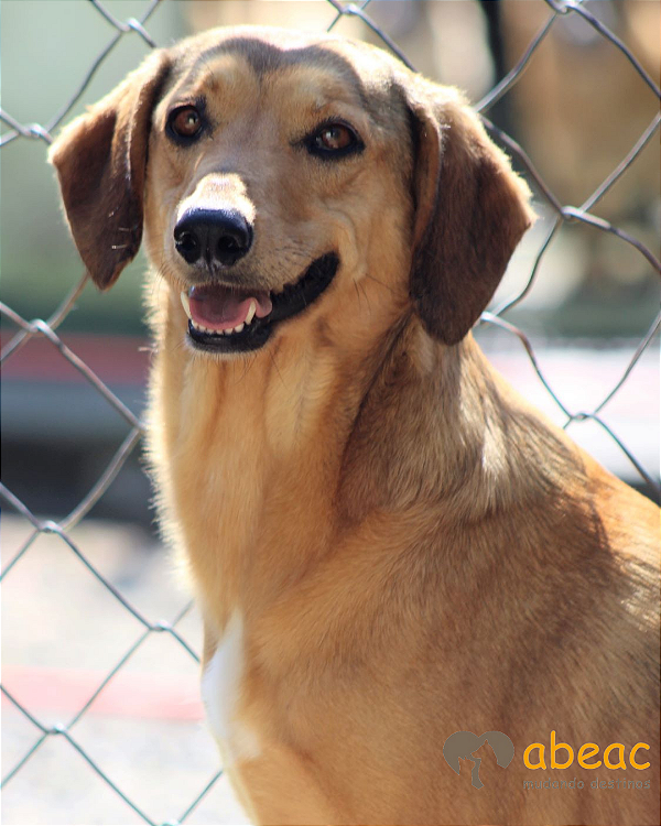 Akira-Sr. Claudio - 09 anos