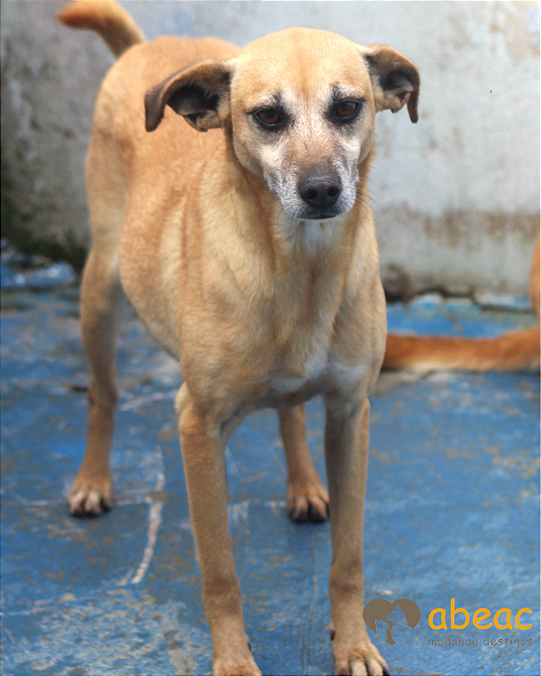 Alice-Caucaia - 09 anos