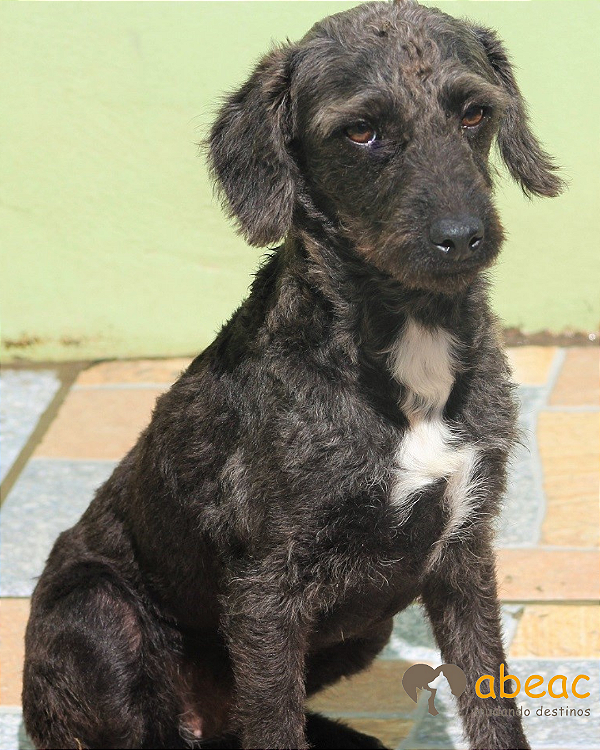 Anita-Ipojuca - 11 anos