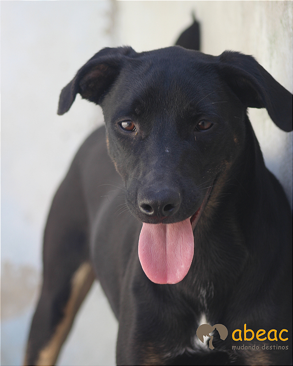 Barthô - Drica - 03 anos