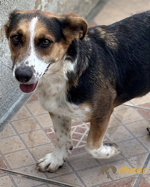 Bebel-Caucaia - 05 anos