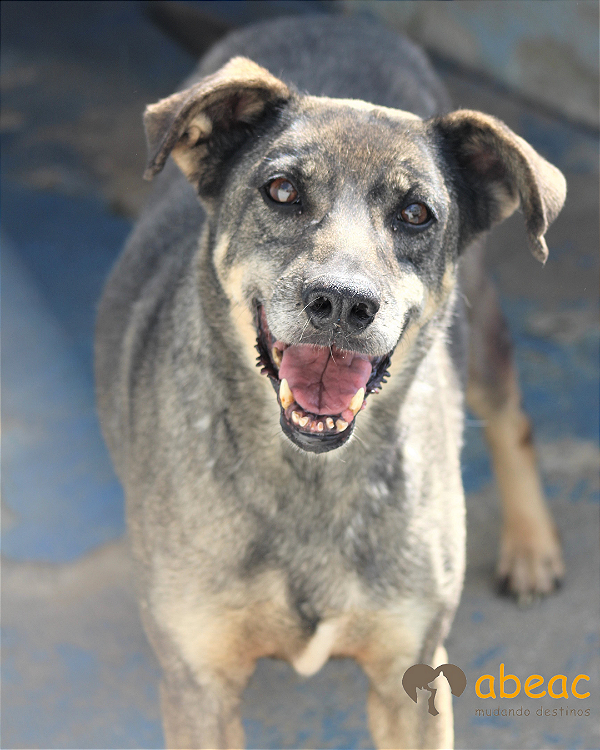 Bibi-Parelheiros - 16 anos