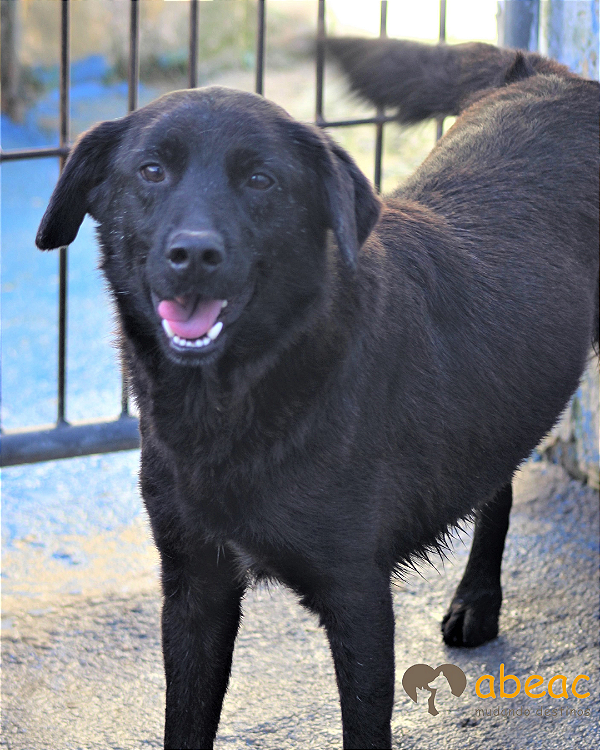 Cafu-300 Anjos - 07 anos