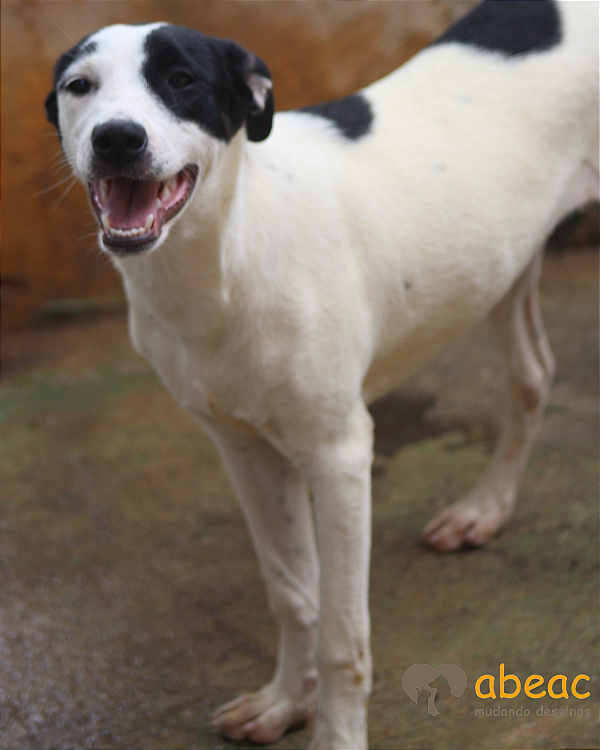 Dandara-Drica - 03 anos