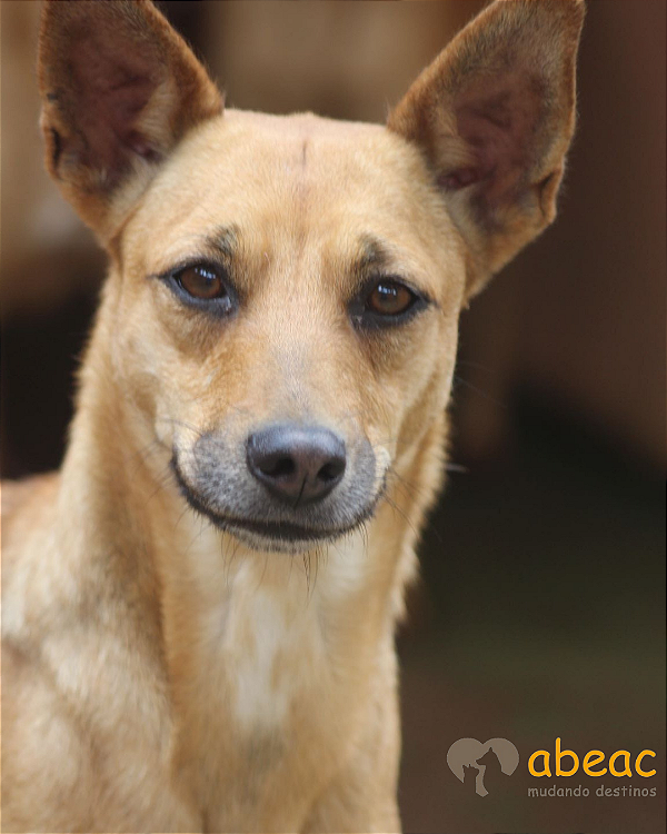 Emily-Caucaia - 09 anos