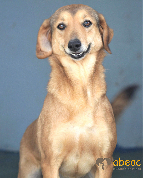 Gaya-Sr. Claudio - 09 anos