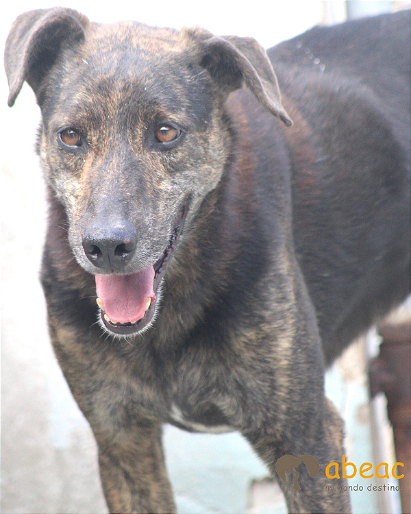 Jasmim-Vicky - 11 anos