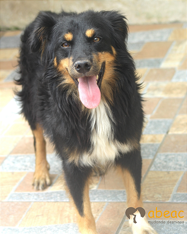 Jeff-Caucaia - 05 anos