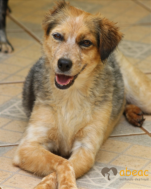 Jessie-300 Anjos - 14 anos