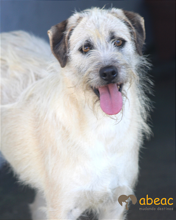 Kiko-Caucaia - 07 anos