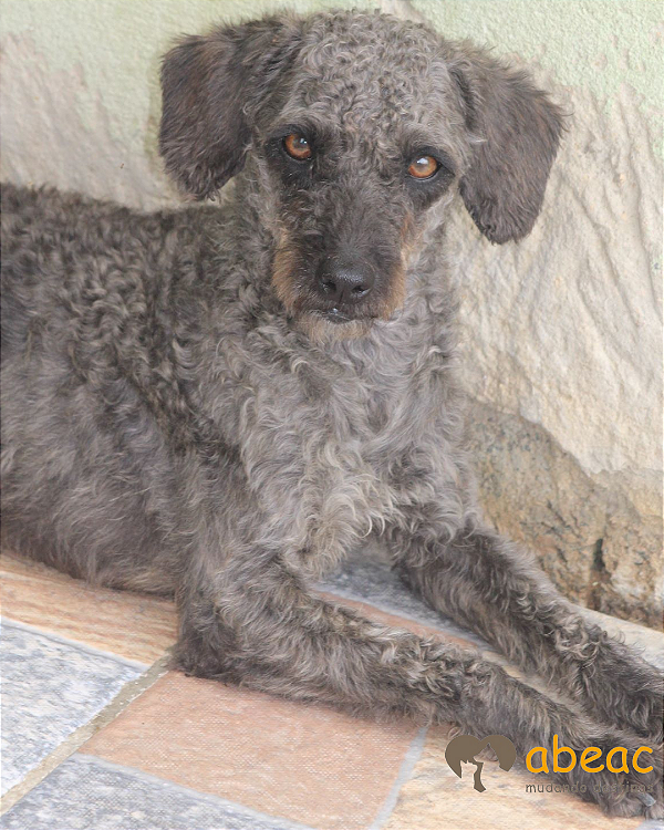 Lolly-Ipojuca - 11 anos