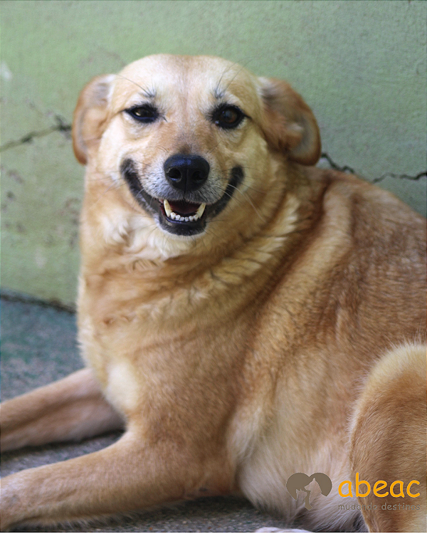 Mabel-300 Anjos - 13 anos -*APADRINHADA*