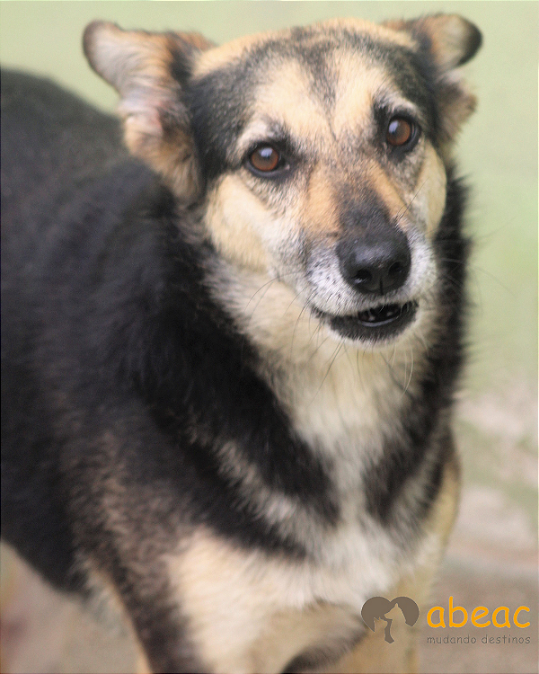 Mirella-Parelheiros - 13 anos