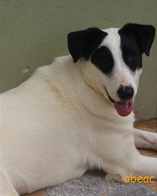 Neca-300 Anjos - 09 anos