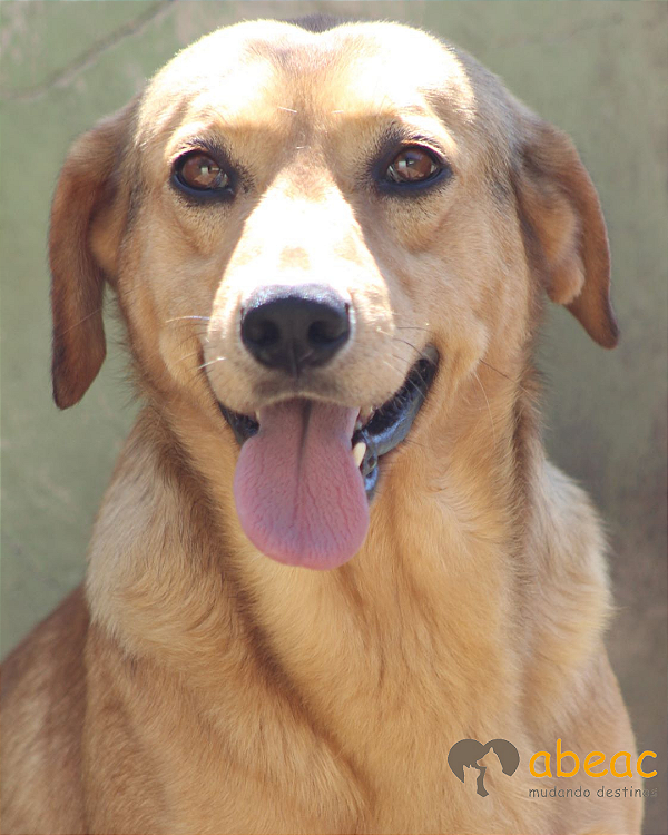 Nico-Sr. Claudio - 09 anos