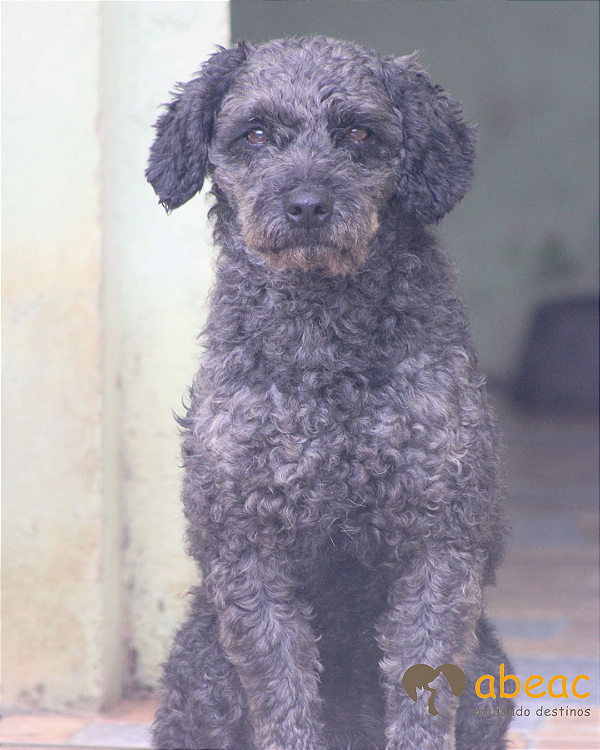 Nico-Ipojuca - 11 anos