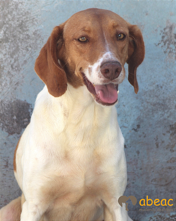 Paçoca-300 Anjos - 09 anos