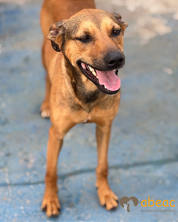 Ramon-Caucaia -04 anos