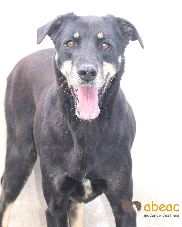 Thor-Madona - 11 anos