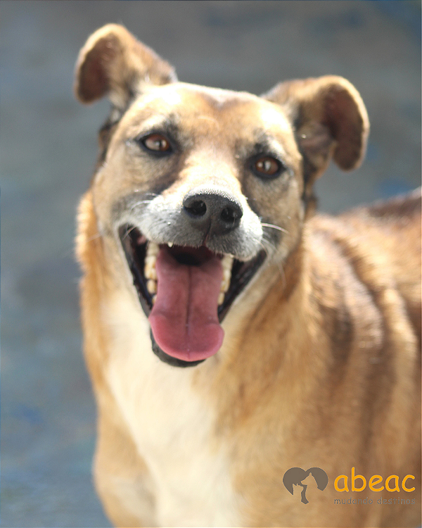 Vida-Parelheiros -08 anos