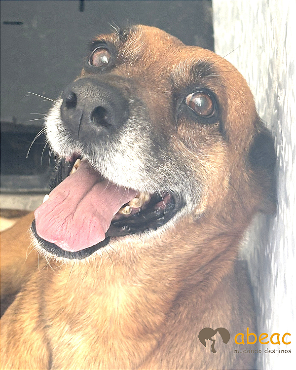 Natascha-300 Anjos - 09 anos *APADRINHADA*