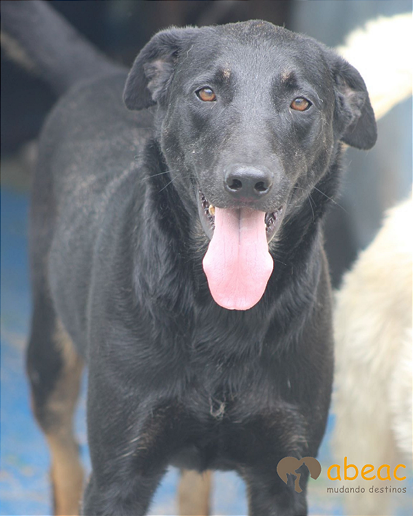 Bruce-Valentina - 10 anos