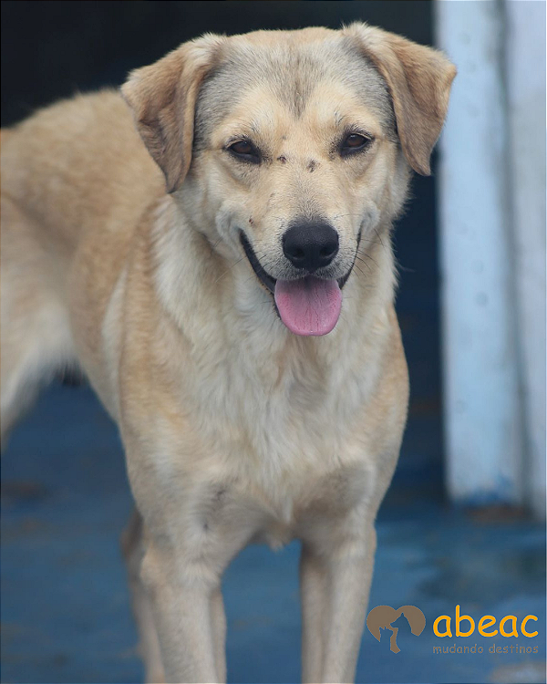 Bruce-Sr. Claudio - 09 anos