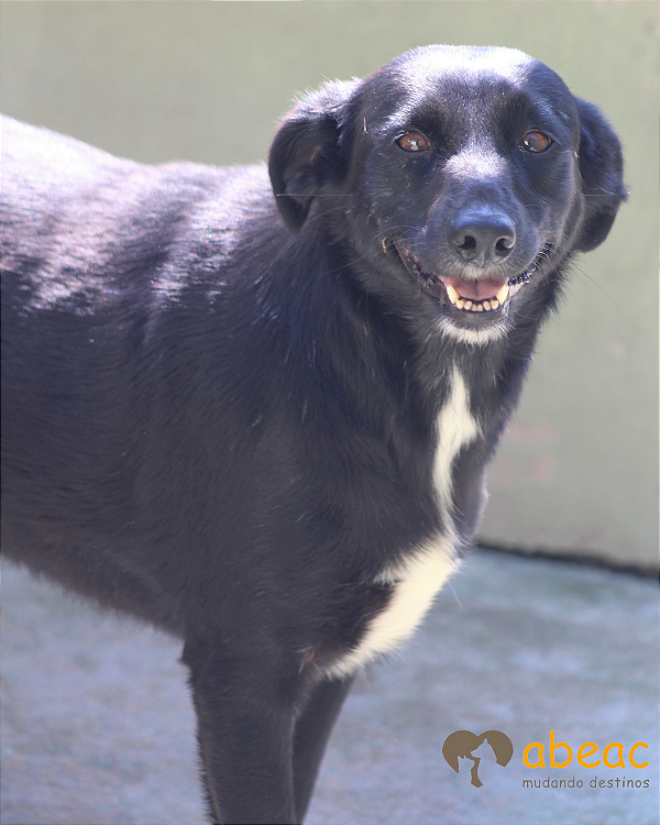 Debby-300 Anjos - 13 anos