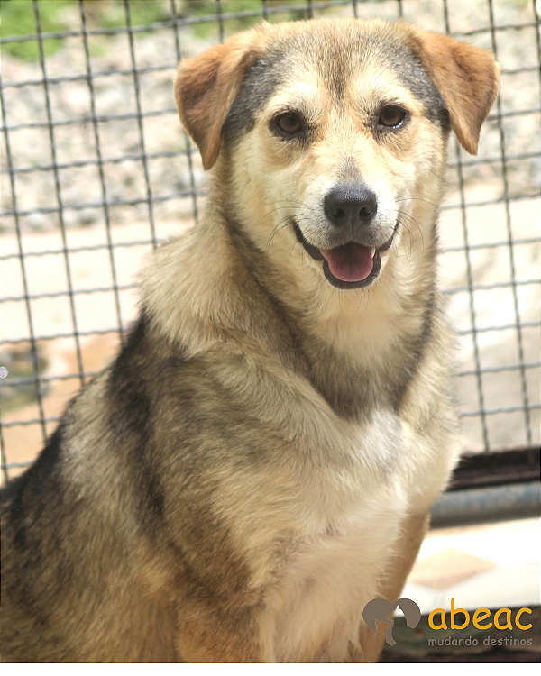 Drica-300 Anjos - 07 anos