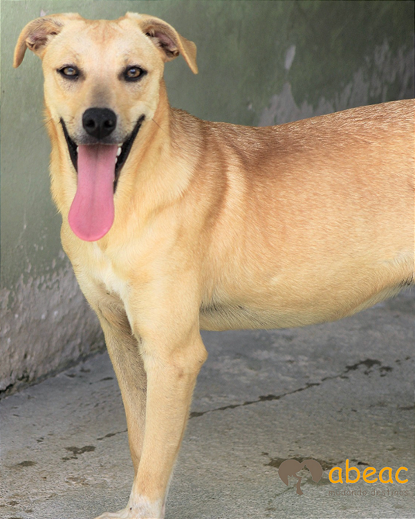 Flora-Princesa - 10 anos