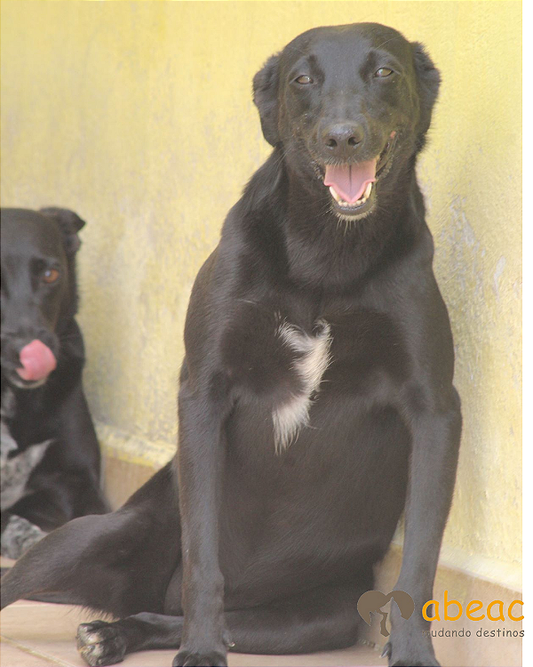 Frida-Brigitte - 10 anos