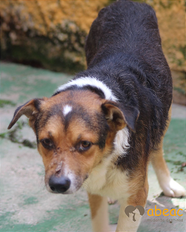 Joaquim-Sr. Claudio - 10 anos