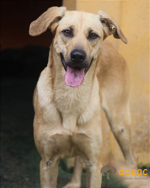 Lilona-Caucaia - 10 anos