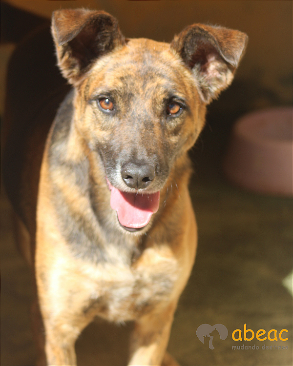 Madalena-Wanderléia - 07 anos