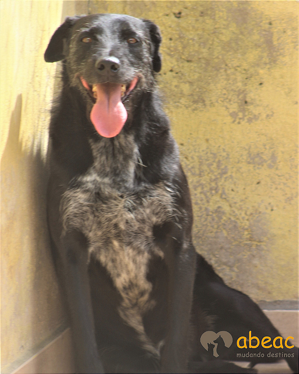 Mandela-Brigitte -10 anos