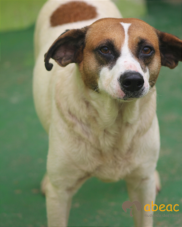 Marley-300 Anjos - 07 anos