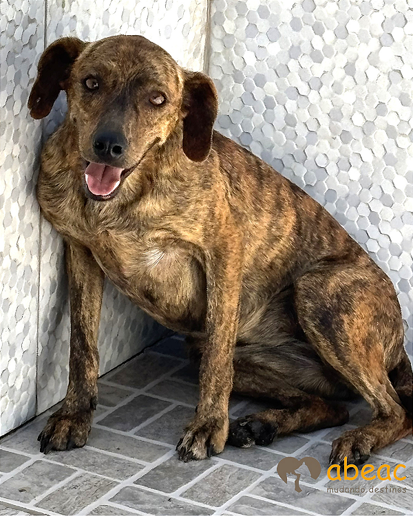 Miucha-Caucaia - 03 anos