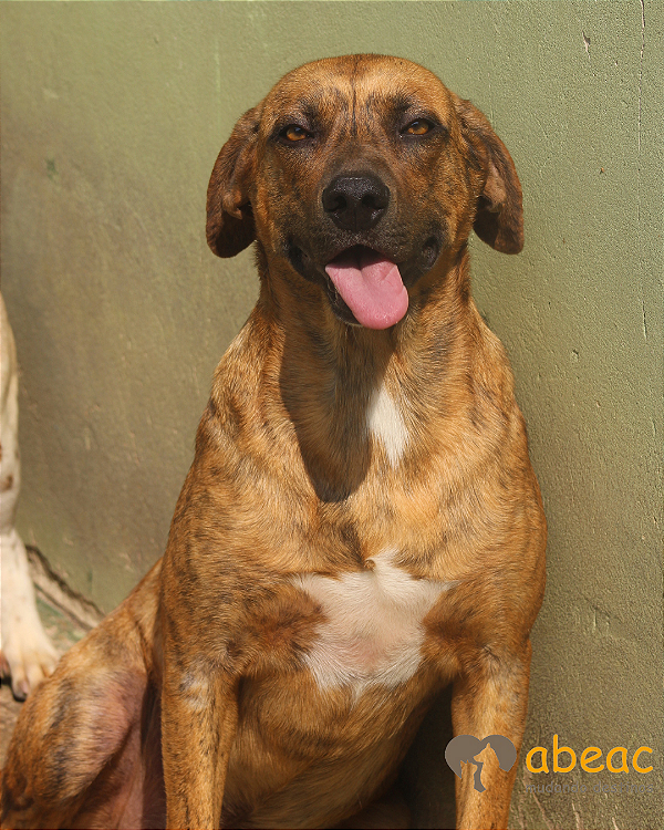 Otto-Parelheiros - 05 anos