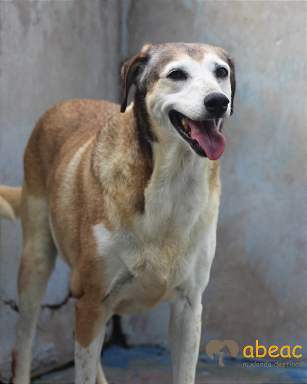 Paloma-Sr. Claudio - 14 anos